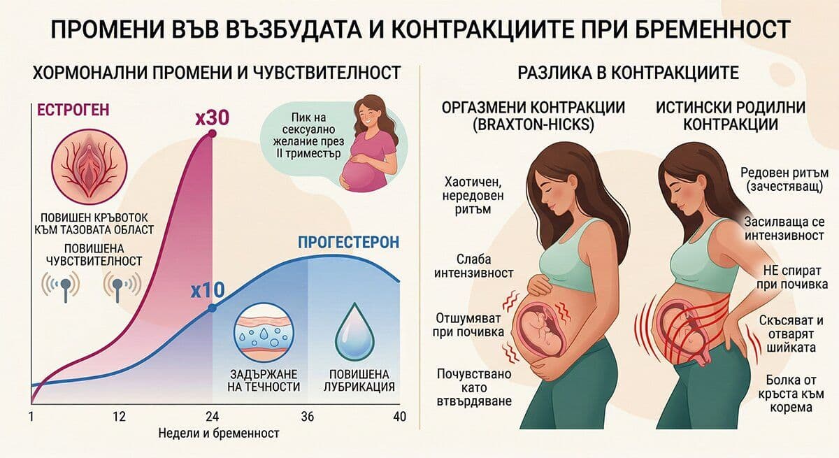 Защо се променя вашата възбуда при бременност